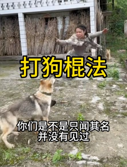 打狗棍法的运用和爆发小技巧截图