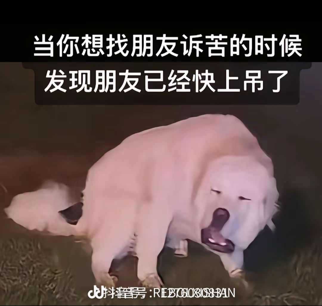 弃坑两年了,这都啥啊? 2