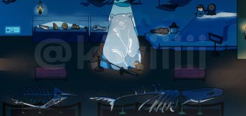 《动物博物馆》开发者日志day2