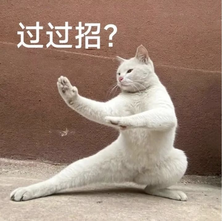 火炬专家想看官方直播截图
