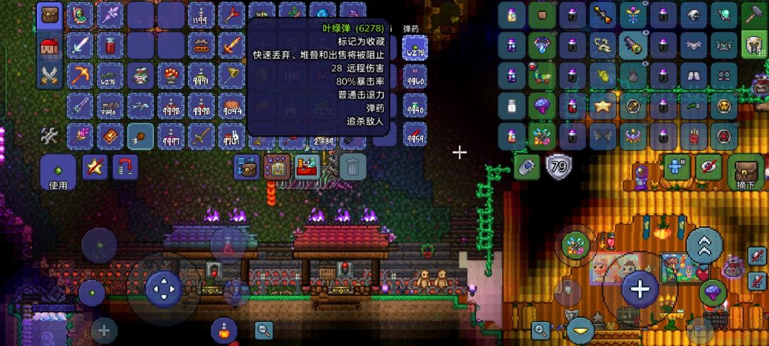 泰拉瑞亚射手毕业饰品搭配 2