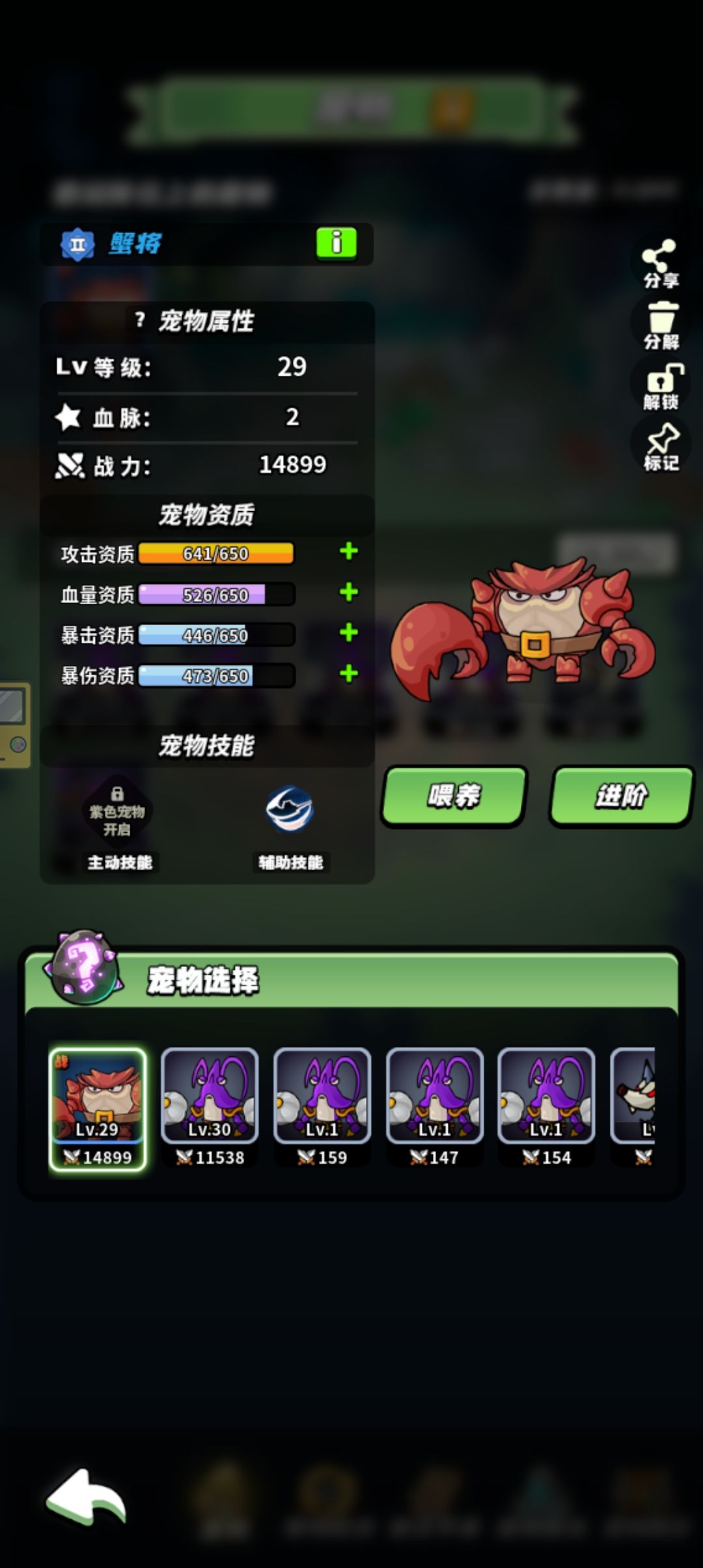 第一只宠物 1