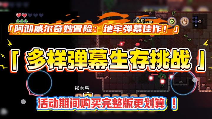 花样弹幕射击游戏等你来挑战！截图