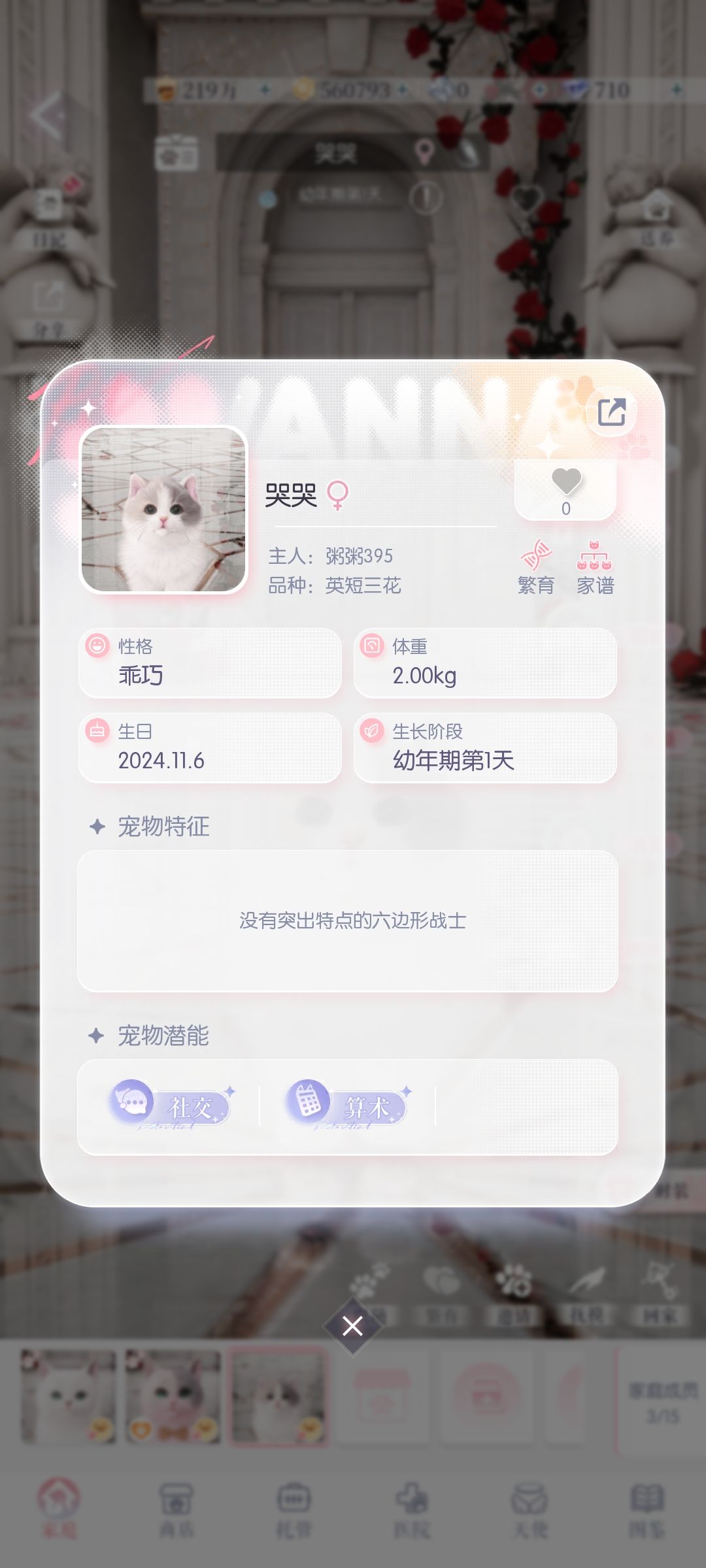 不是,还会有没标签的猫猫啊??! 1