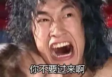 桃源丨有人把“怂怂的松果夜萝”捏出来了~ 4