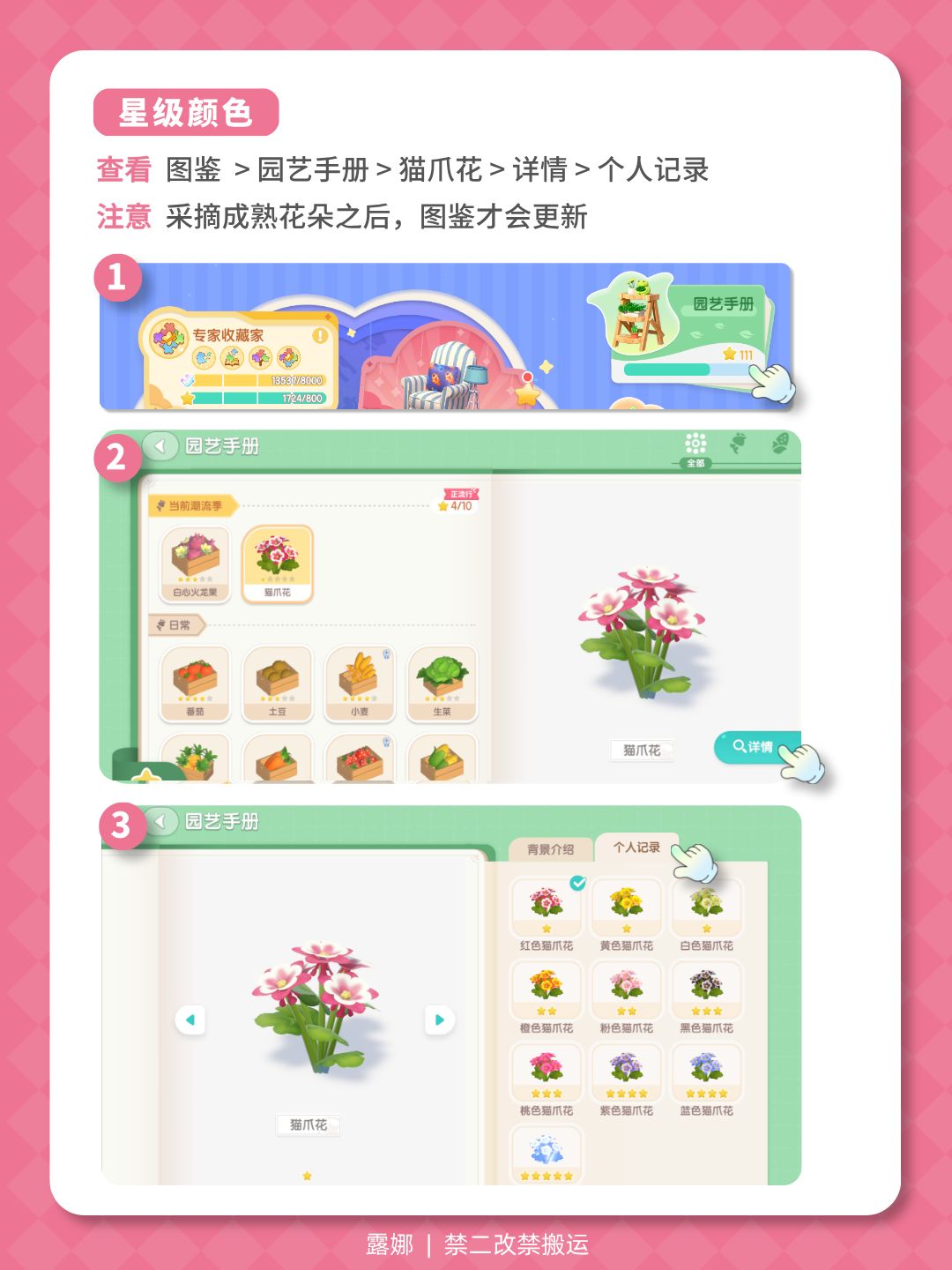 动物新邻 猫爪花 杂交公式 摆放 五星攻略 3