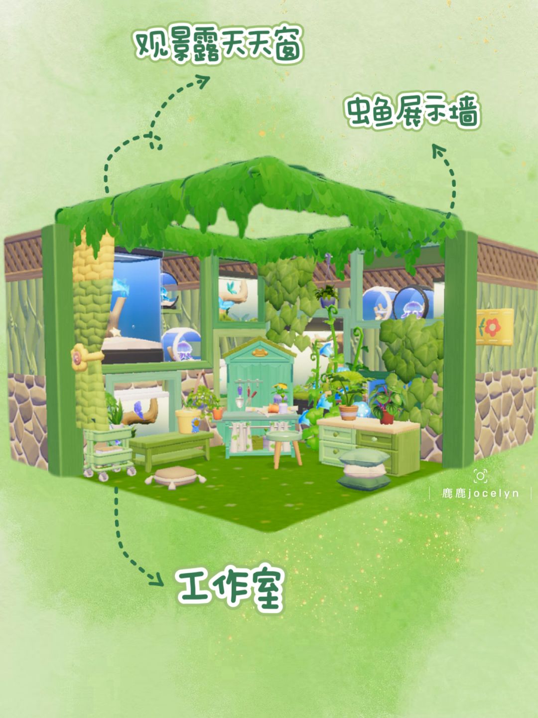 抓到的蝴蝶可以做观虫工作室哦 2