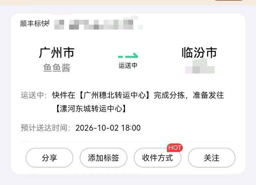 加油啊,5000人的大家 乌龟壳争夺战 1