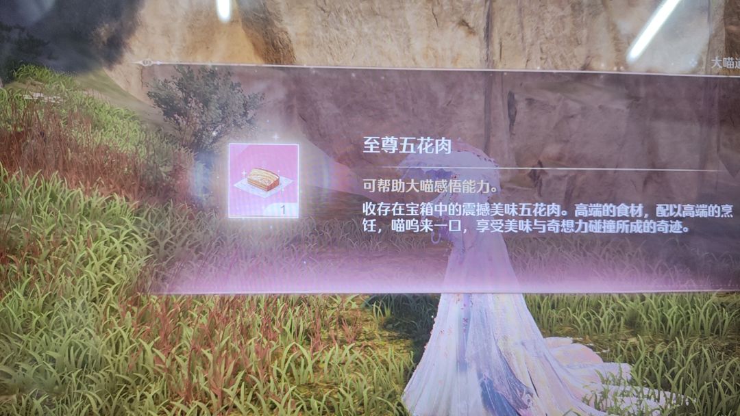 大喵日子也是好起来了 2