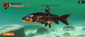 钓称号鱼的一点小小心得