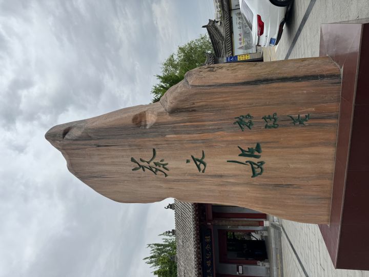 我也来看蔡奶奶了截图