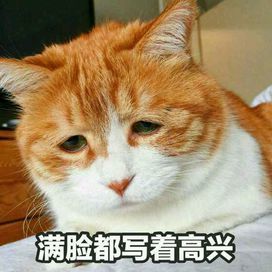 没体力我甚至连消消乐都玩不起 3