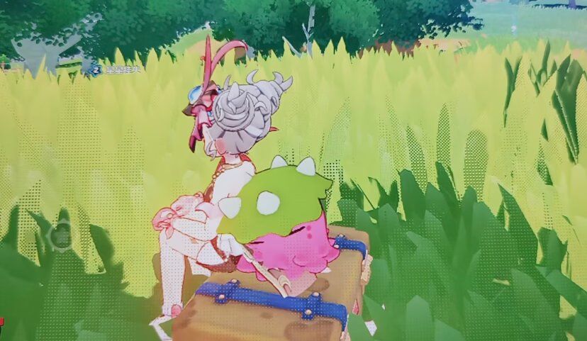 夏日美好 2