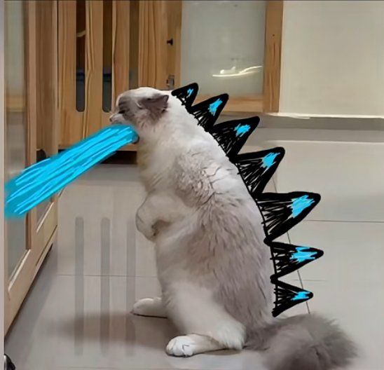 哩哩哩 1
