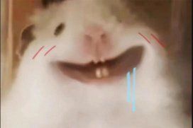 说真的体验极差,怎么说呢! 1