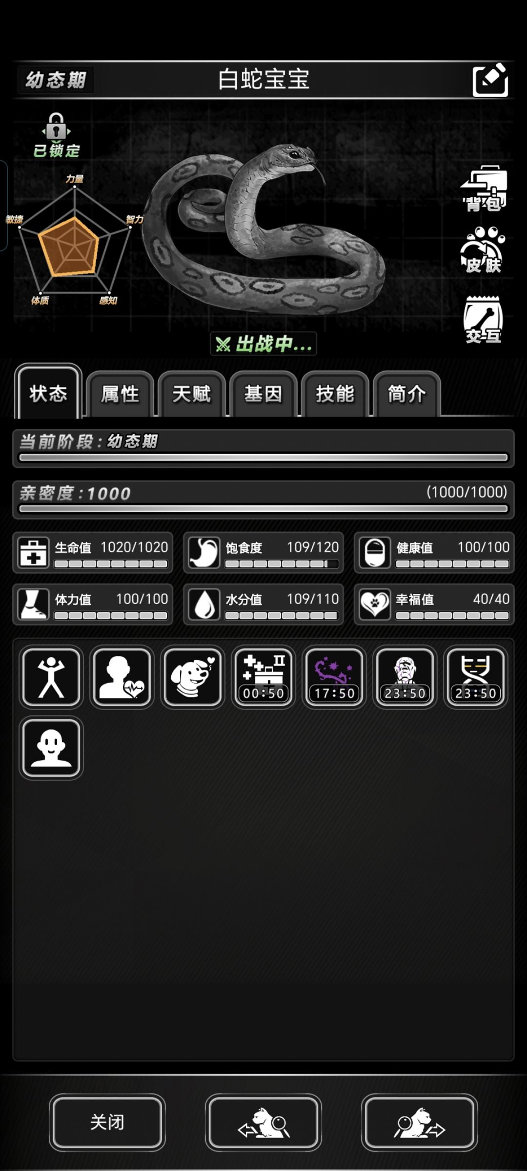 活动宠物怎么进化啊 1