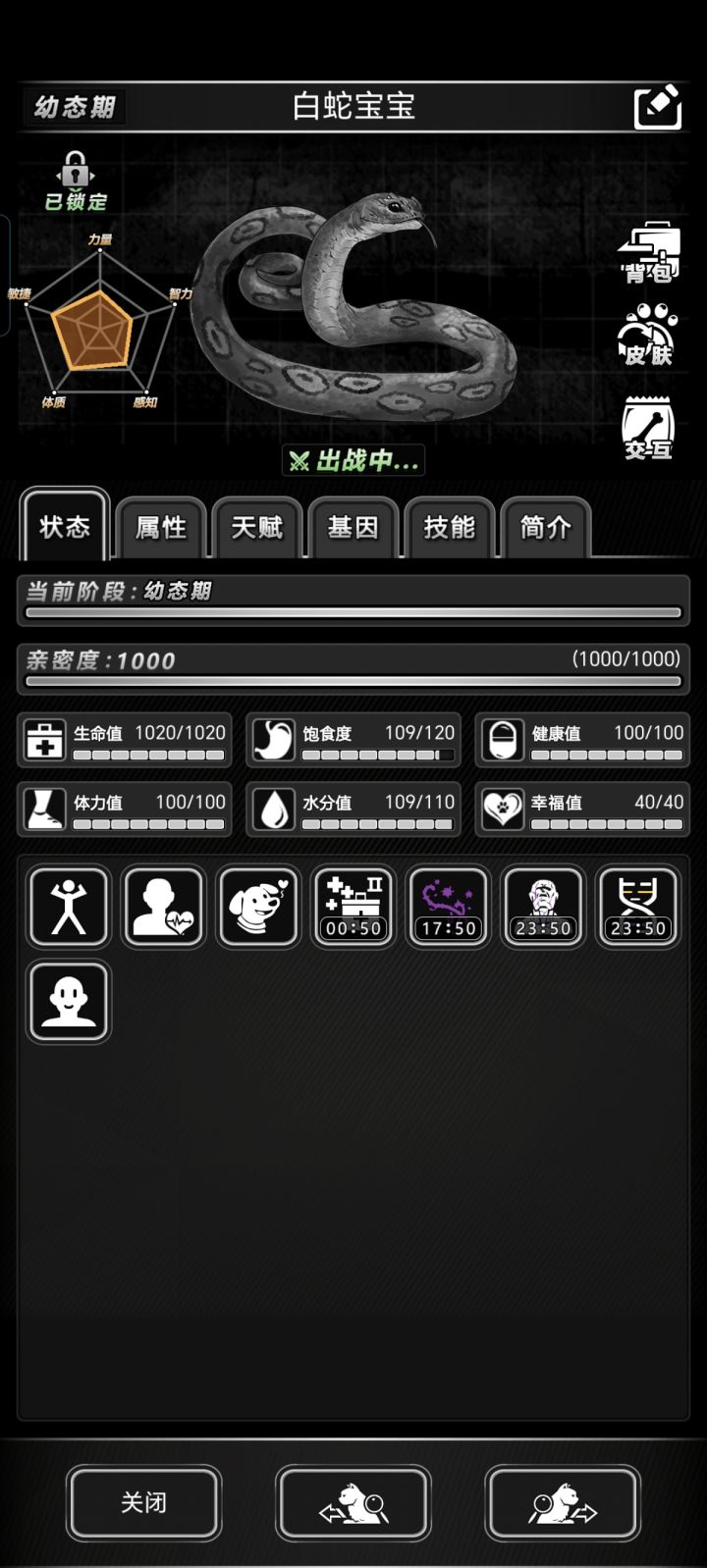 活动宠物怎么进化啊截图