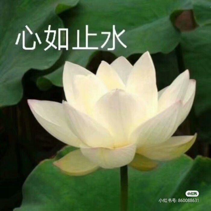 海螺肉!咱俩别再见了!!! 1