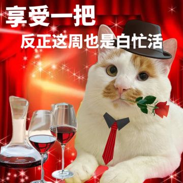 一个小贴士，苏芙比必抽，但是不要着急养