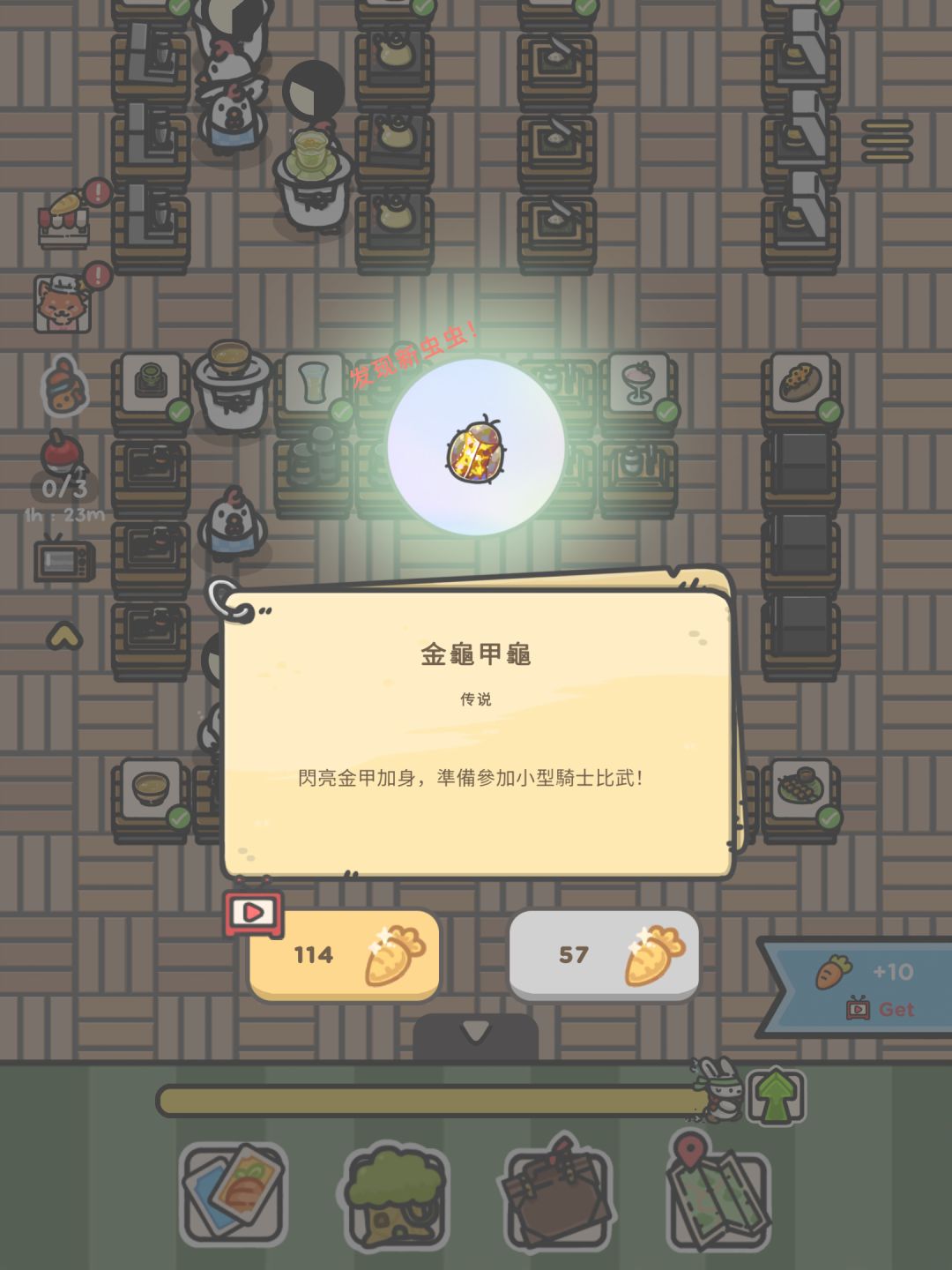 稀有虫子 11