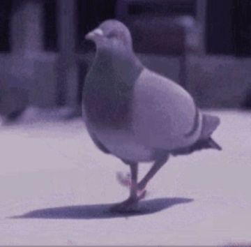 烧烤大师详情数值