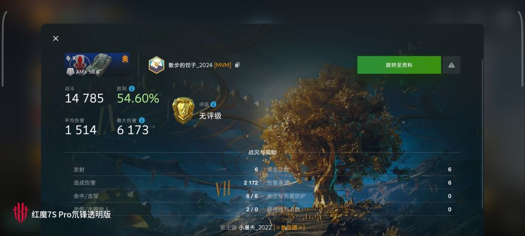 动态图片 3