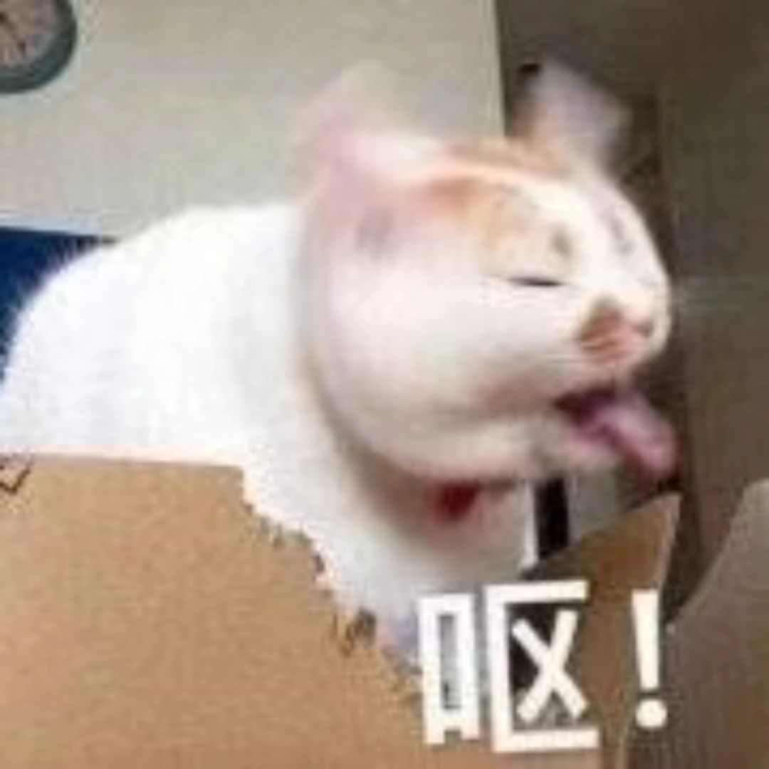 虫干好恶心🤢 2