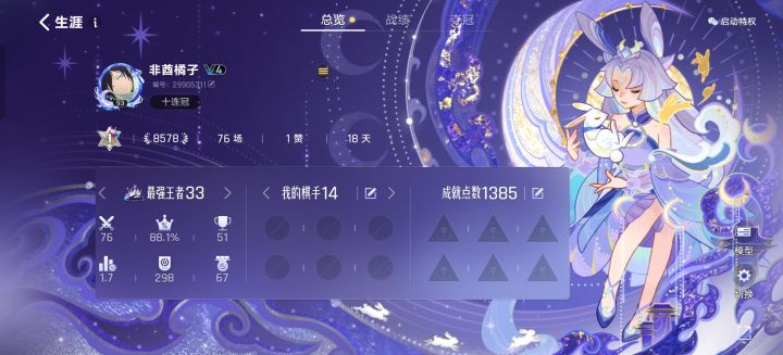 终于王者了截图