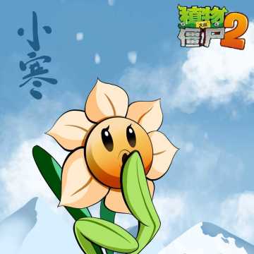 【玉米卷的知识库】小寒