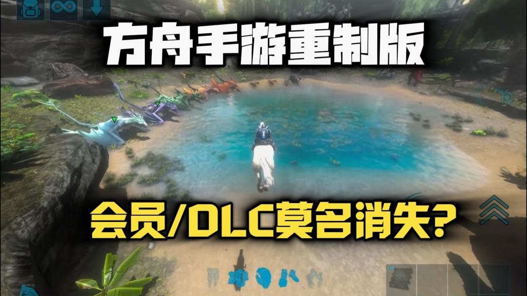 video-4653239
