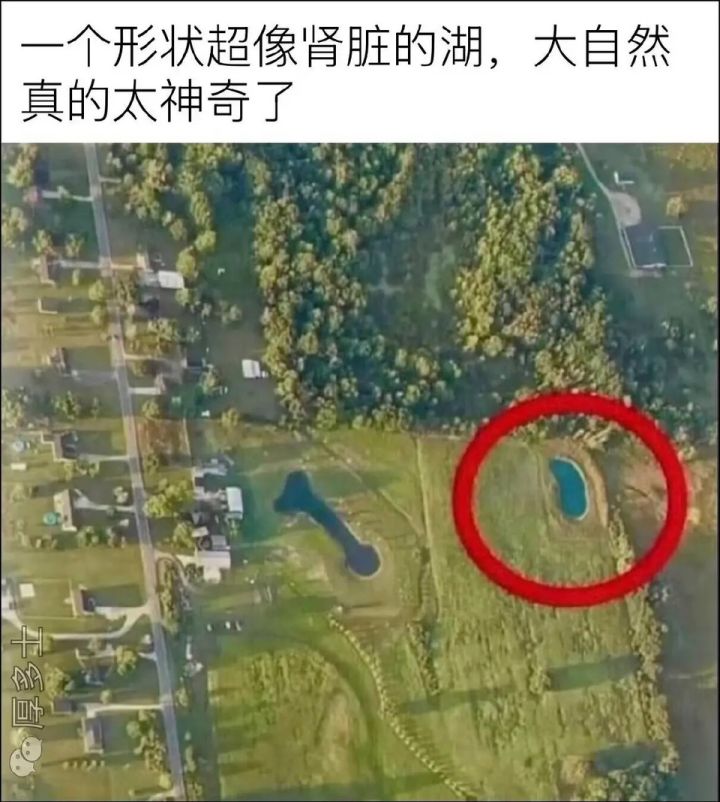 几年前看散人玩过，没想到出手机版了。截图