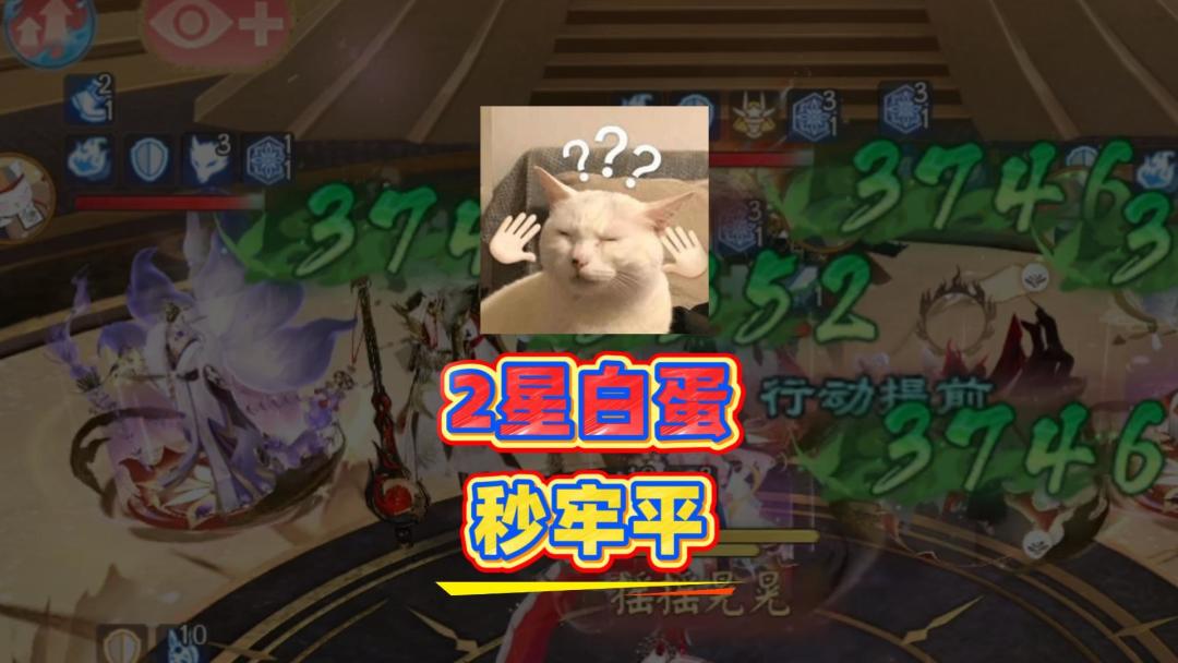 video-5770312