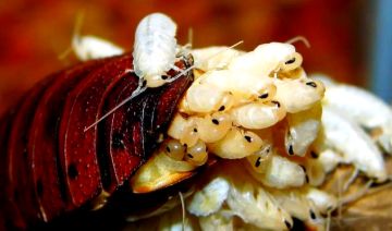 聚光灯游戏设计第四天