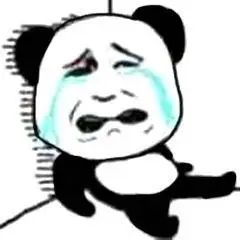 帮我找下我的宠物