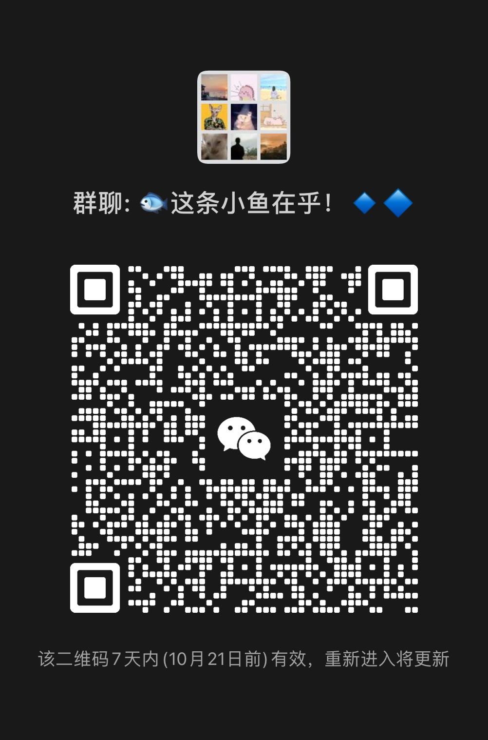 萌妹会长俱乐部诚招活跃鱼佬 2