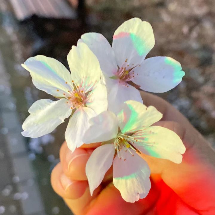 是玩端游好还是玩手游好?截图