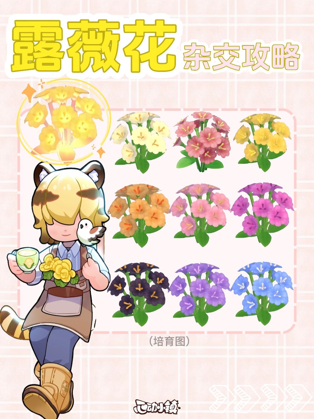 心动小镇露薇花杂交繁育攻略 1