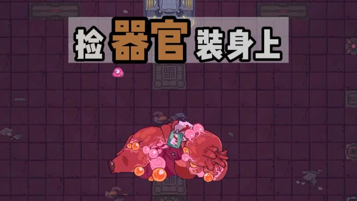 我在马路边，捡到一器官截图