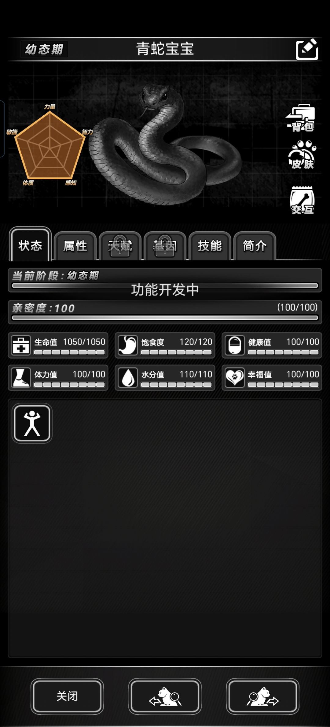 战旗宠物不是出了吗? 1