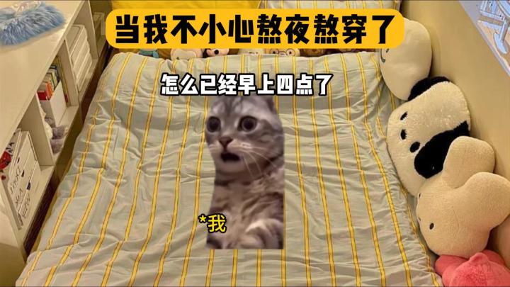 当我不小心熬夜熬穿了截图