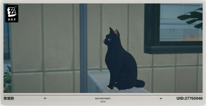 两个可爱的猫猫截图