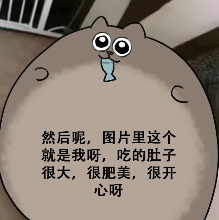 会不会有点营养不良呀?截图