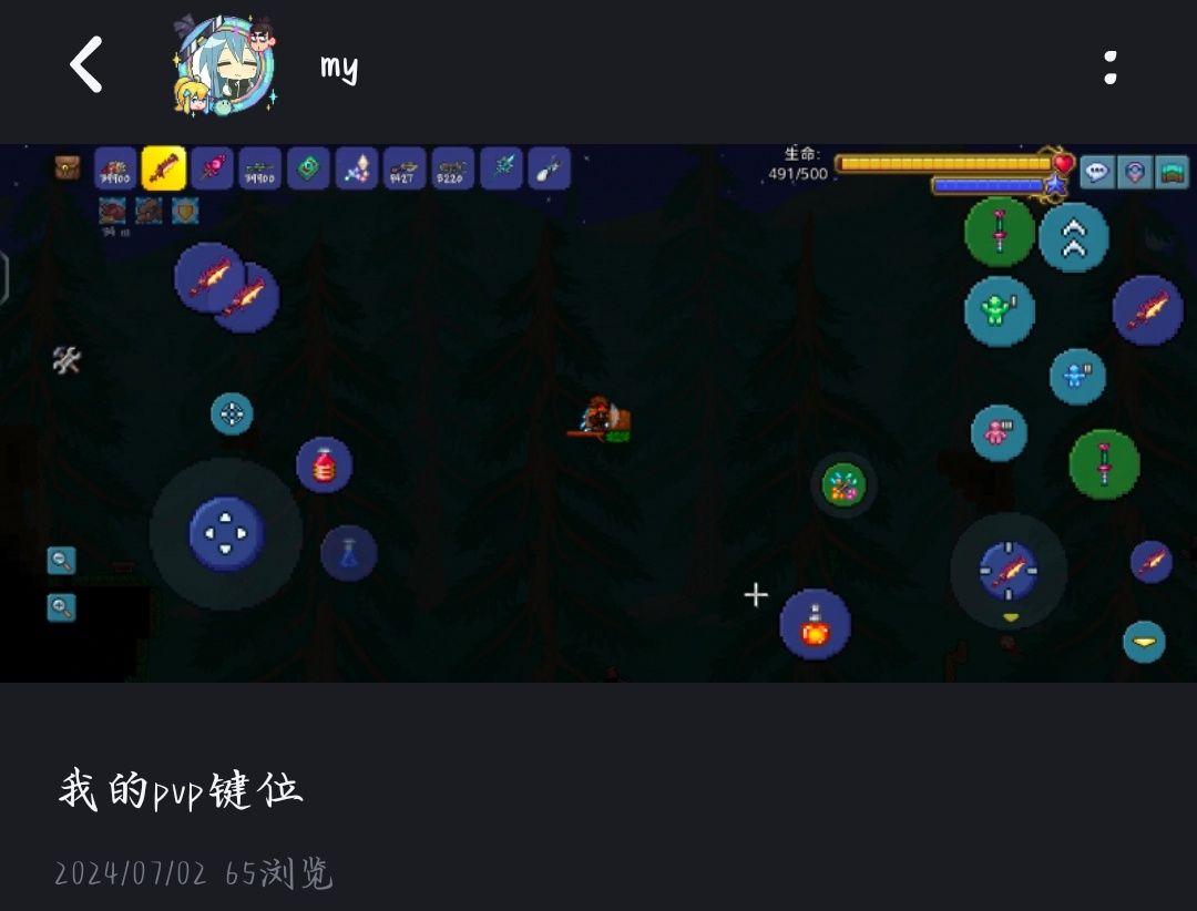 泰拉瑞亚pvp截图