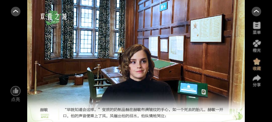 欢喜之城5截图