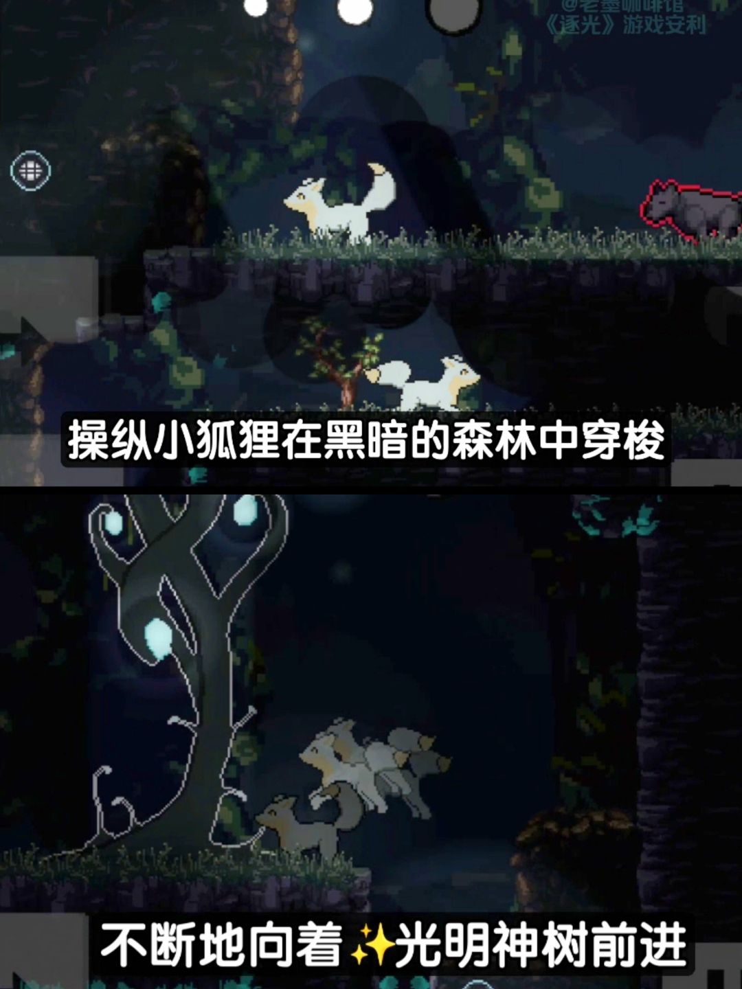 【聚光灯💡安利】平台跳跃解谜✨探索黑暗森林 3