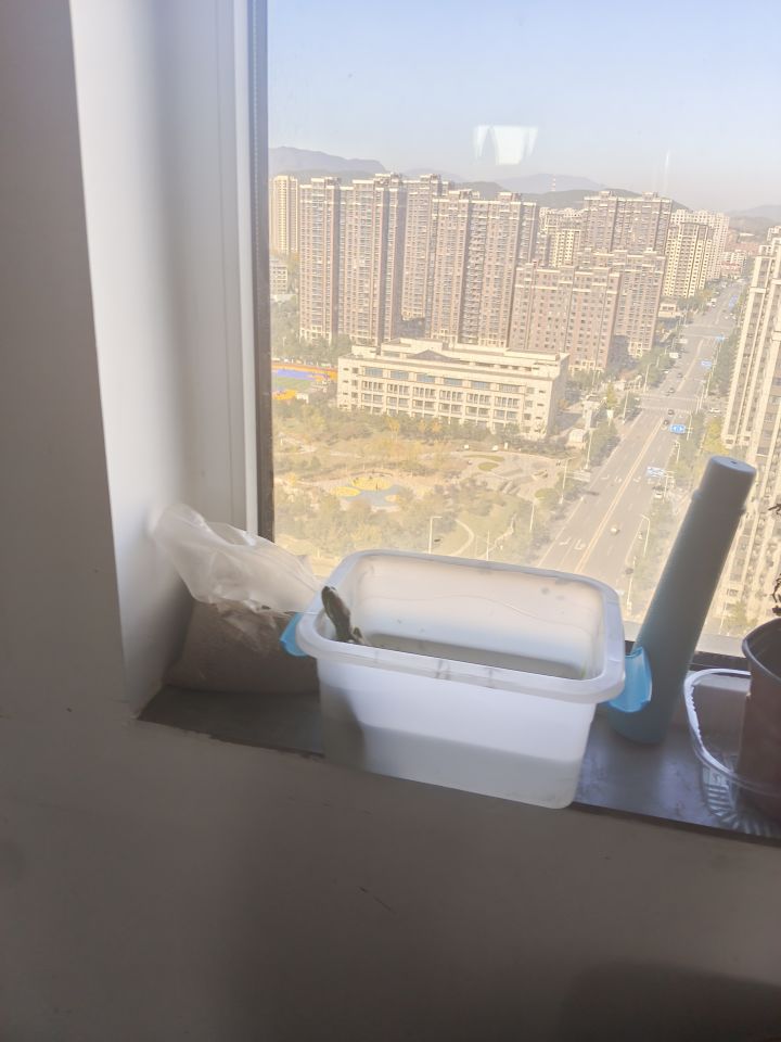 乌龟截图