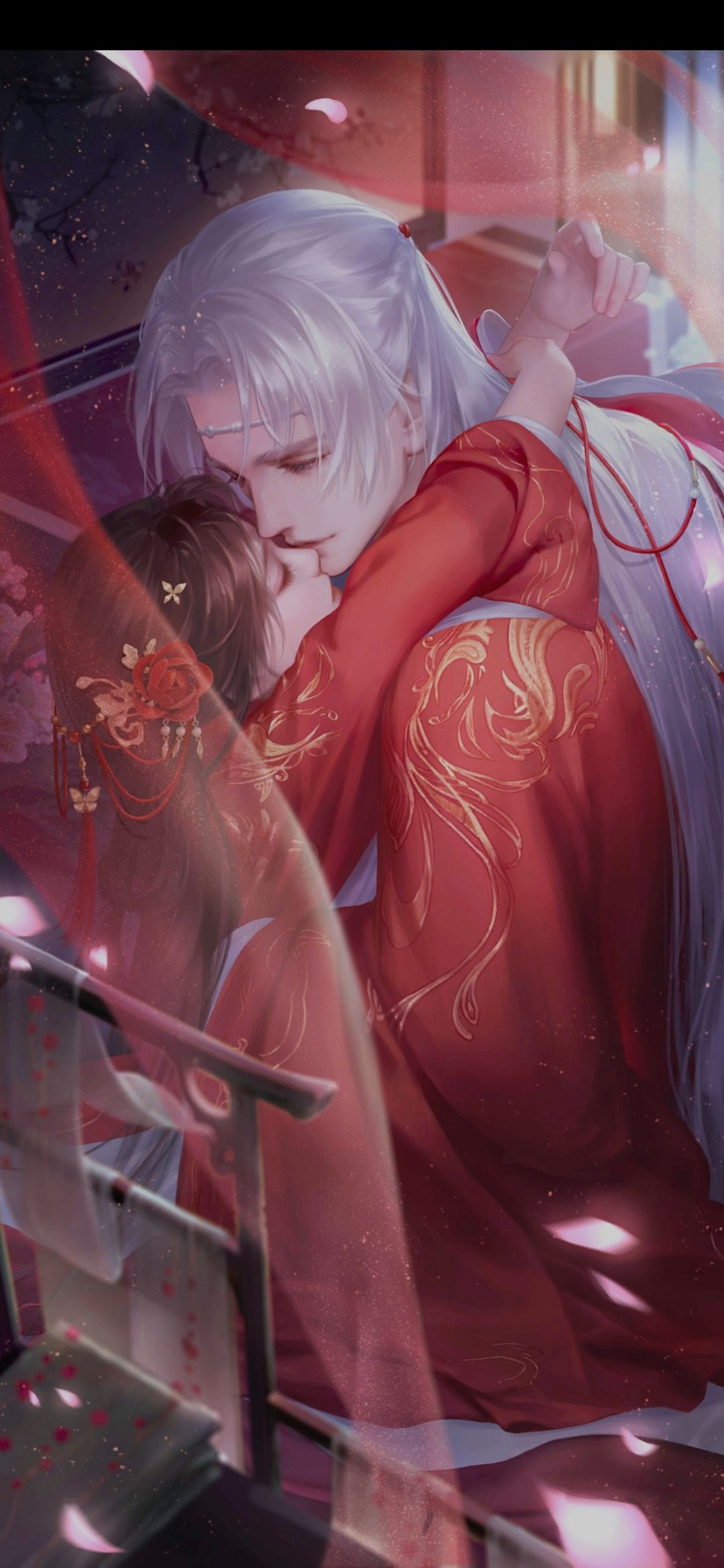 想念猫猫 3