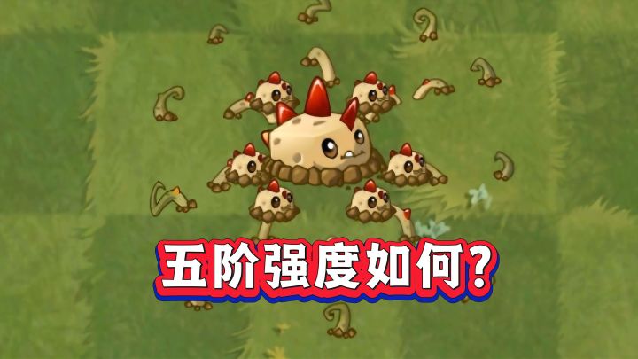 原始土豆地雷:有必要升到五阶吗?截图