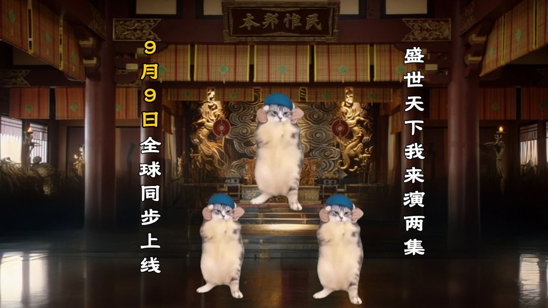 video-5218037