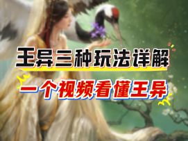 王异三种玩法详解，一个视频看懂王异